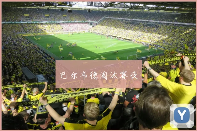 巴尔韦德淘汰赛夜