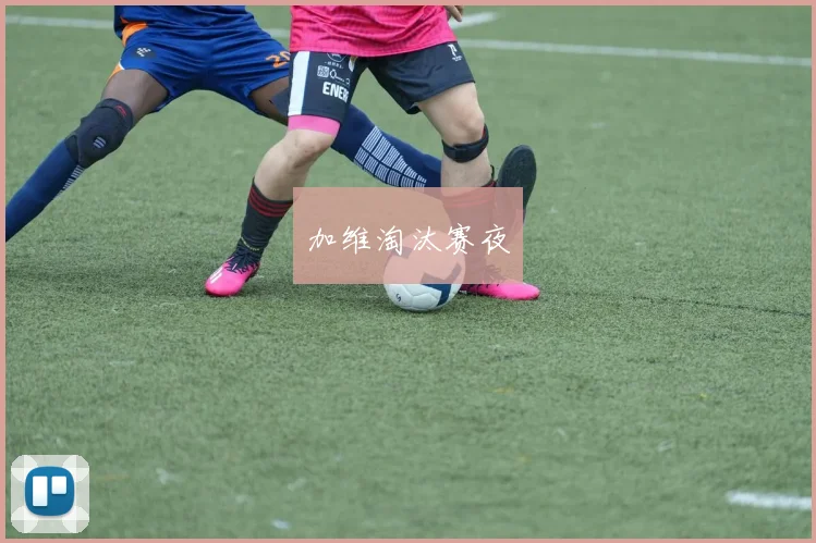 加维淘汰赛夜
