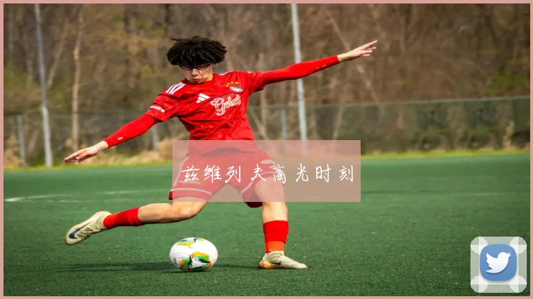 兹维列夫高光时刻
