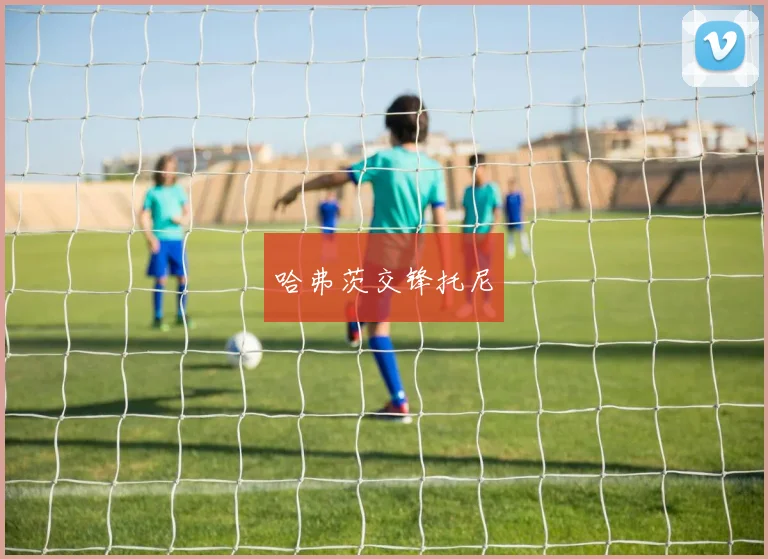 哈弗茨交锋托尼
