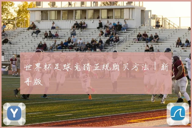 世界杯足球竞猜正规购买方法｜新手版