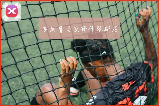 多纳鲁马交锋什琴斯尼