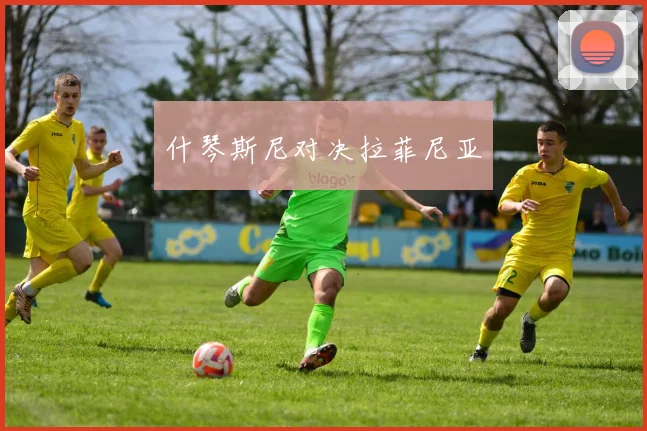 什琴斯尼对决拉菲尼亚
