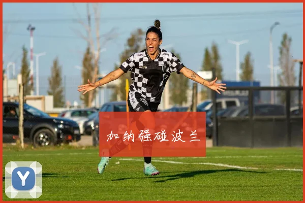 加纳强碰波兰
