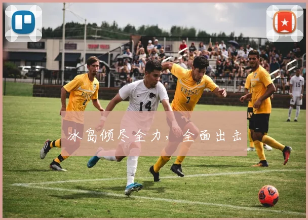 冰岛倾尽全力，全面出击