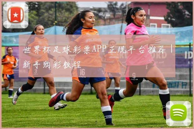 世界杯足球彩票APP正规平台推荐｜新手购彩教程